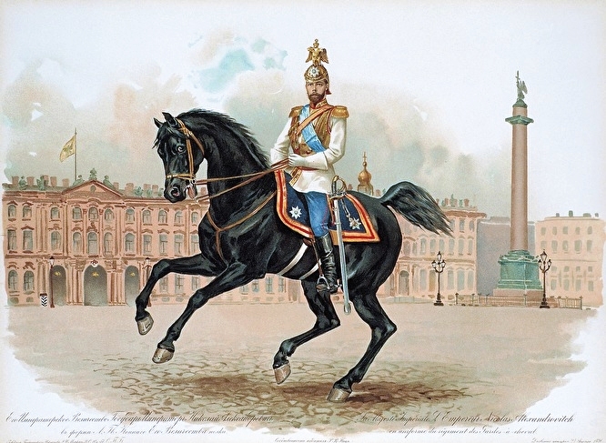 1834549.jpg