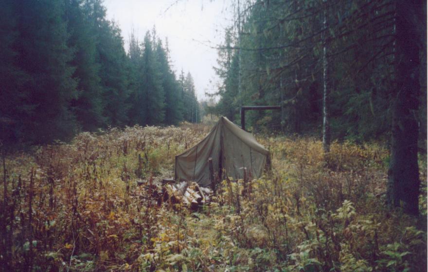 5 012.jpg