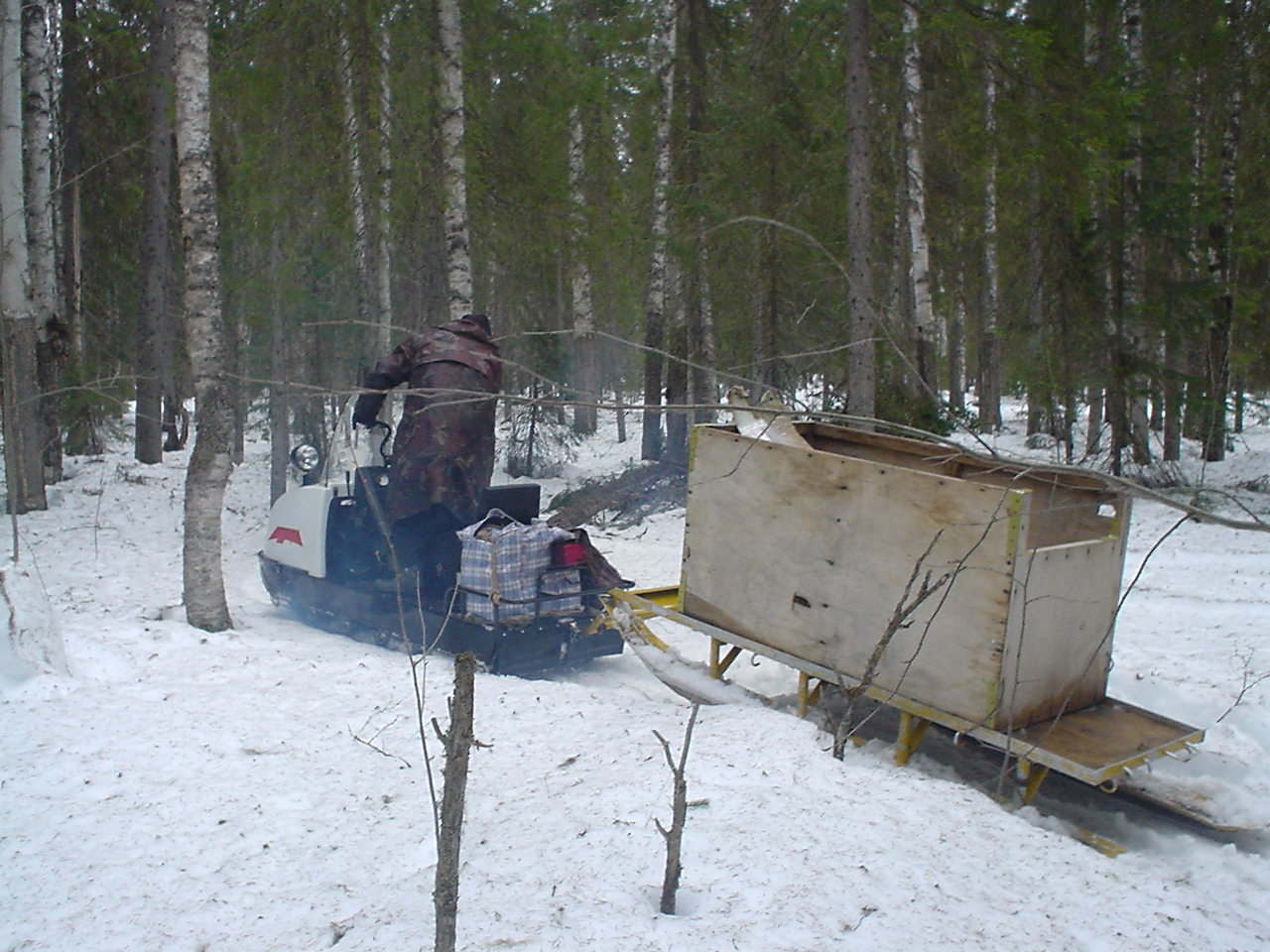 DSC00390.JPG