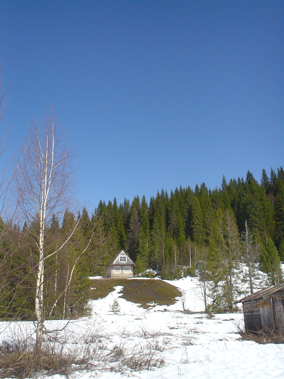 DSC00405.JPG