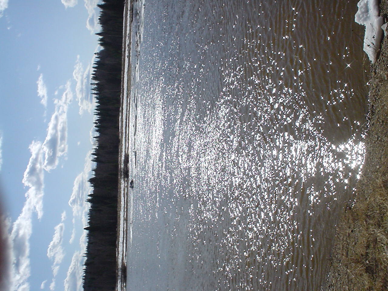 DSC00420.JPG
