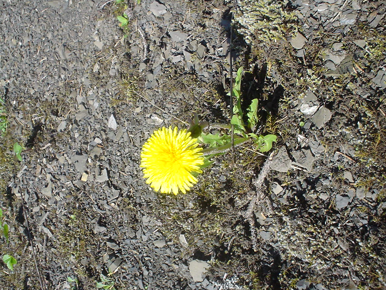 DSC00478.JPG