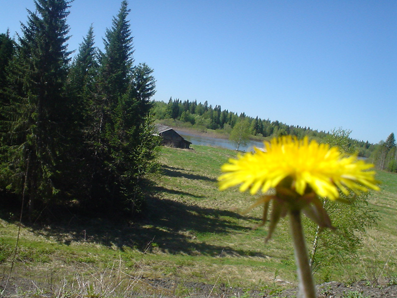 DSC00479.JPG