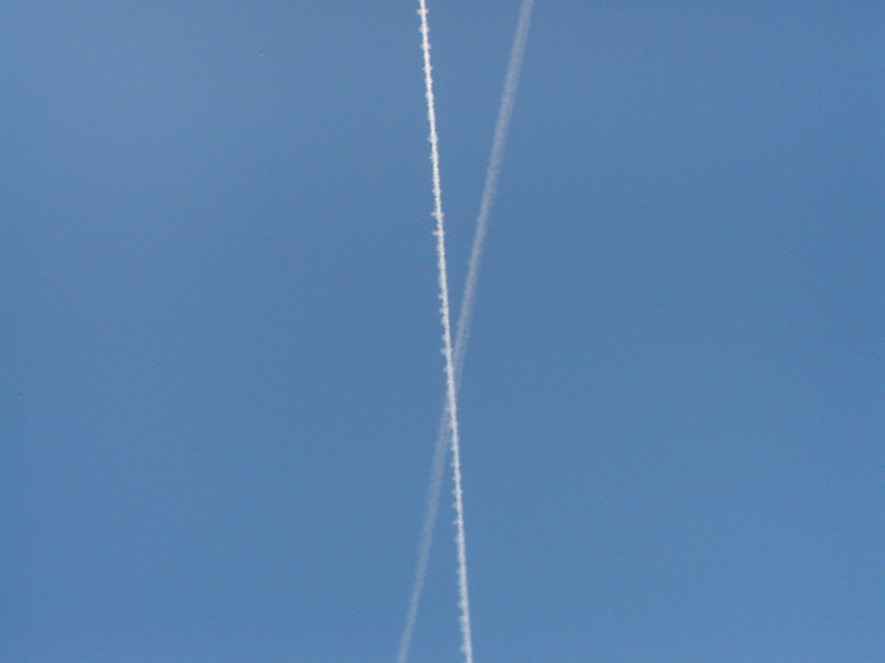 DSC00490.JPG