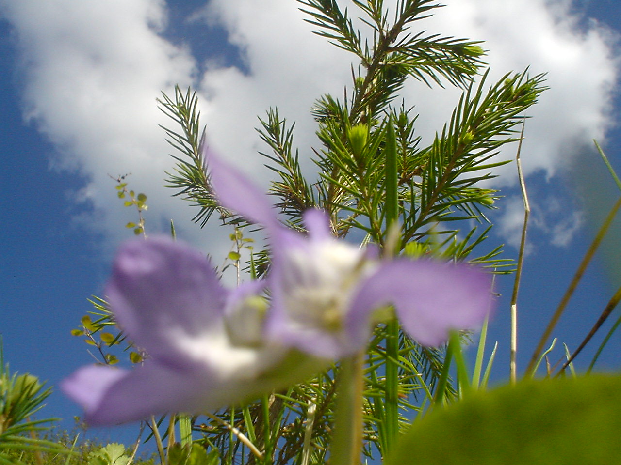 DSC00545.JPG