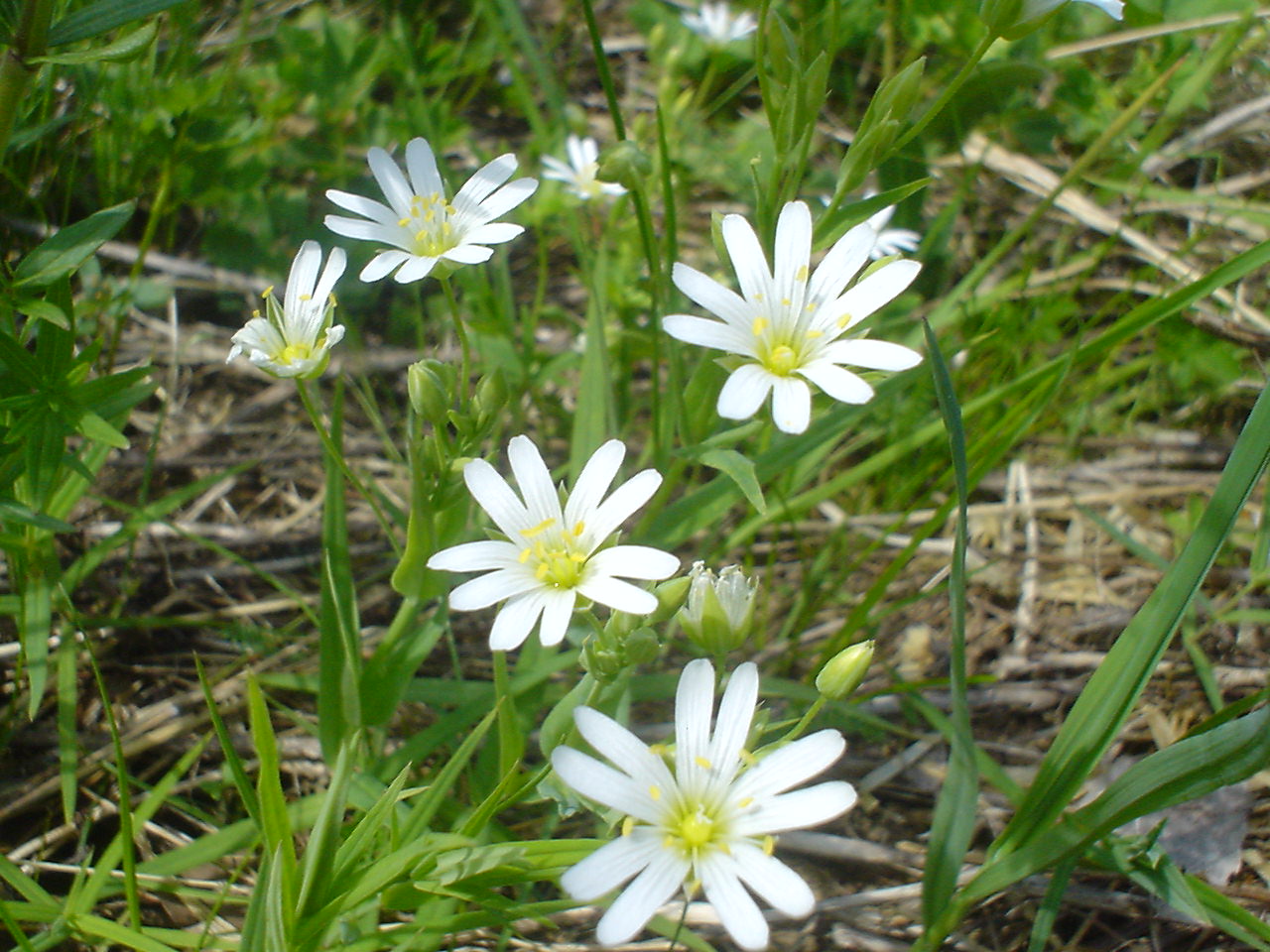 DSC00548.JPG