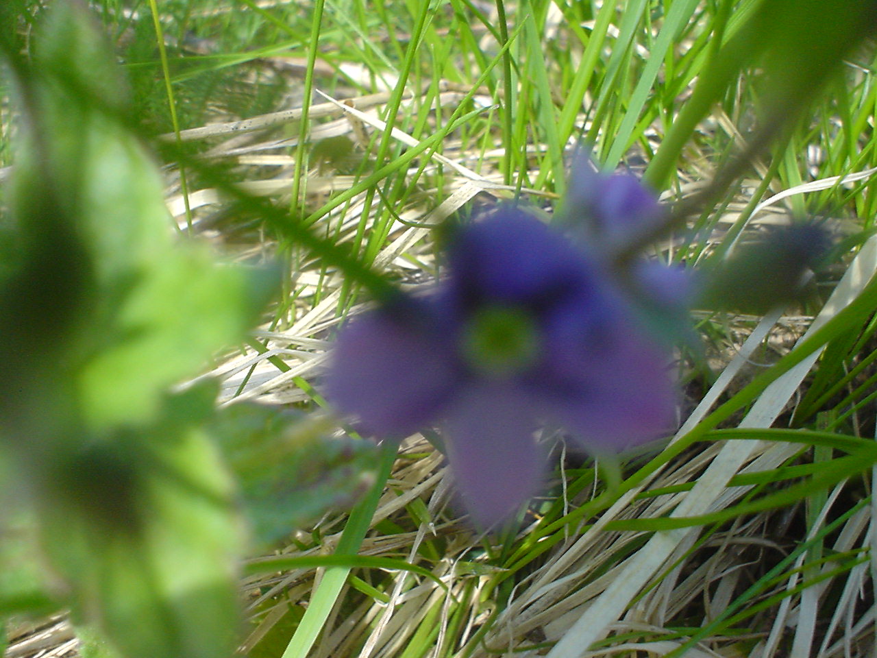 DSC00549.JPG