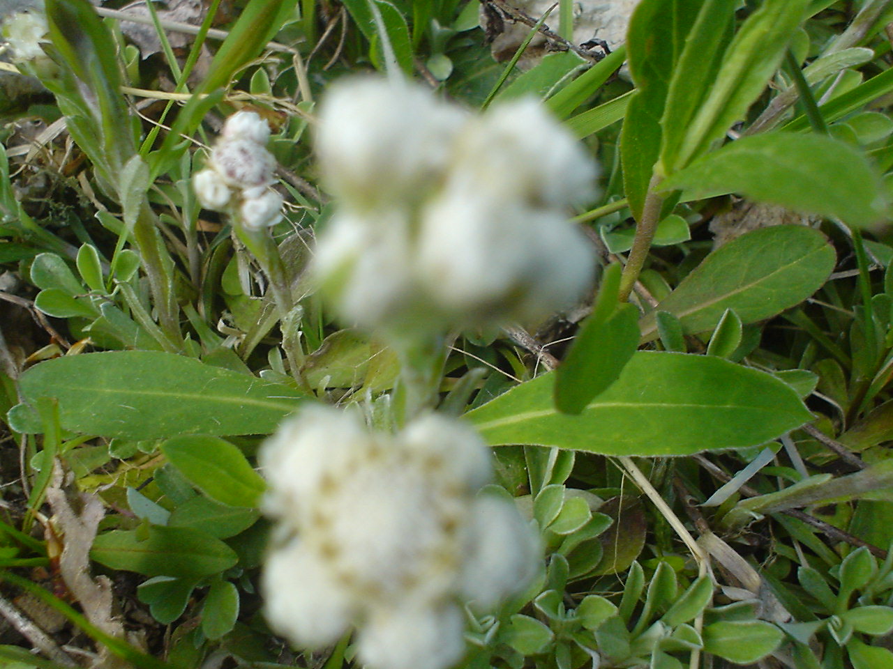 DSC00553.JPG