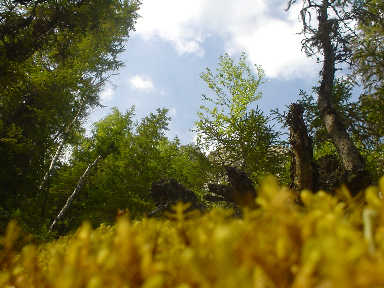 DSC00583.JPG