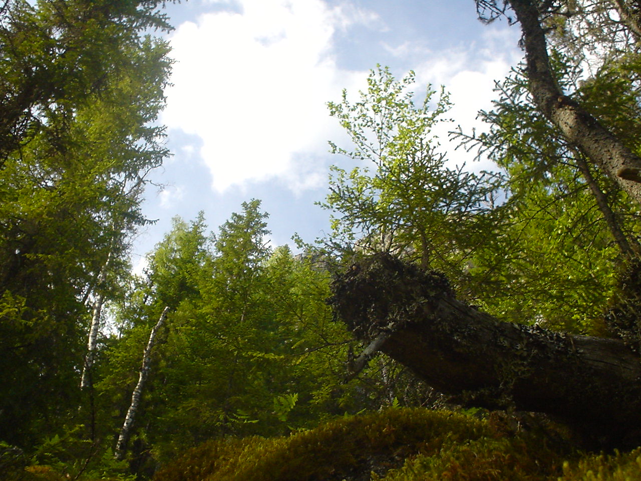 DSC00585.JPG