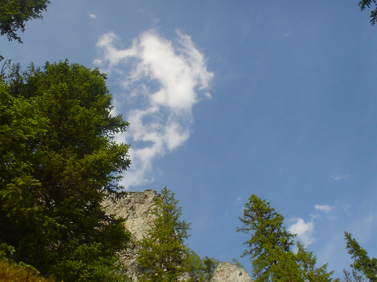 DSC00589.JPG