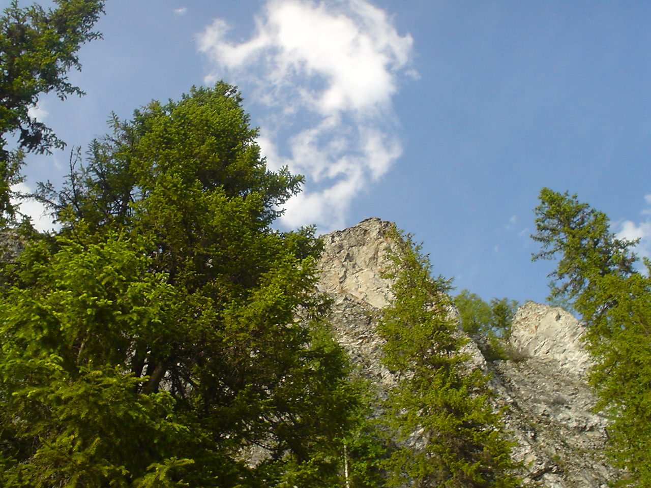 DSC00590.JPG