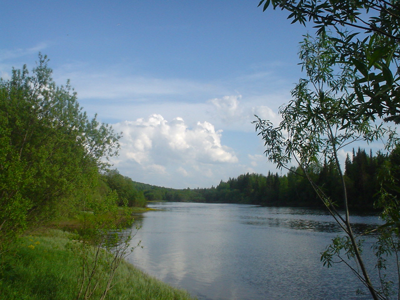 DSC00591.JPG