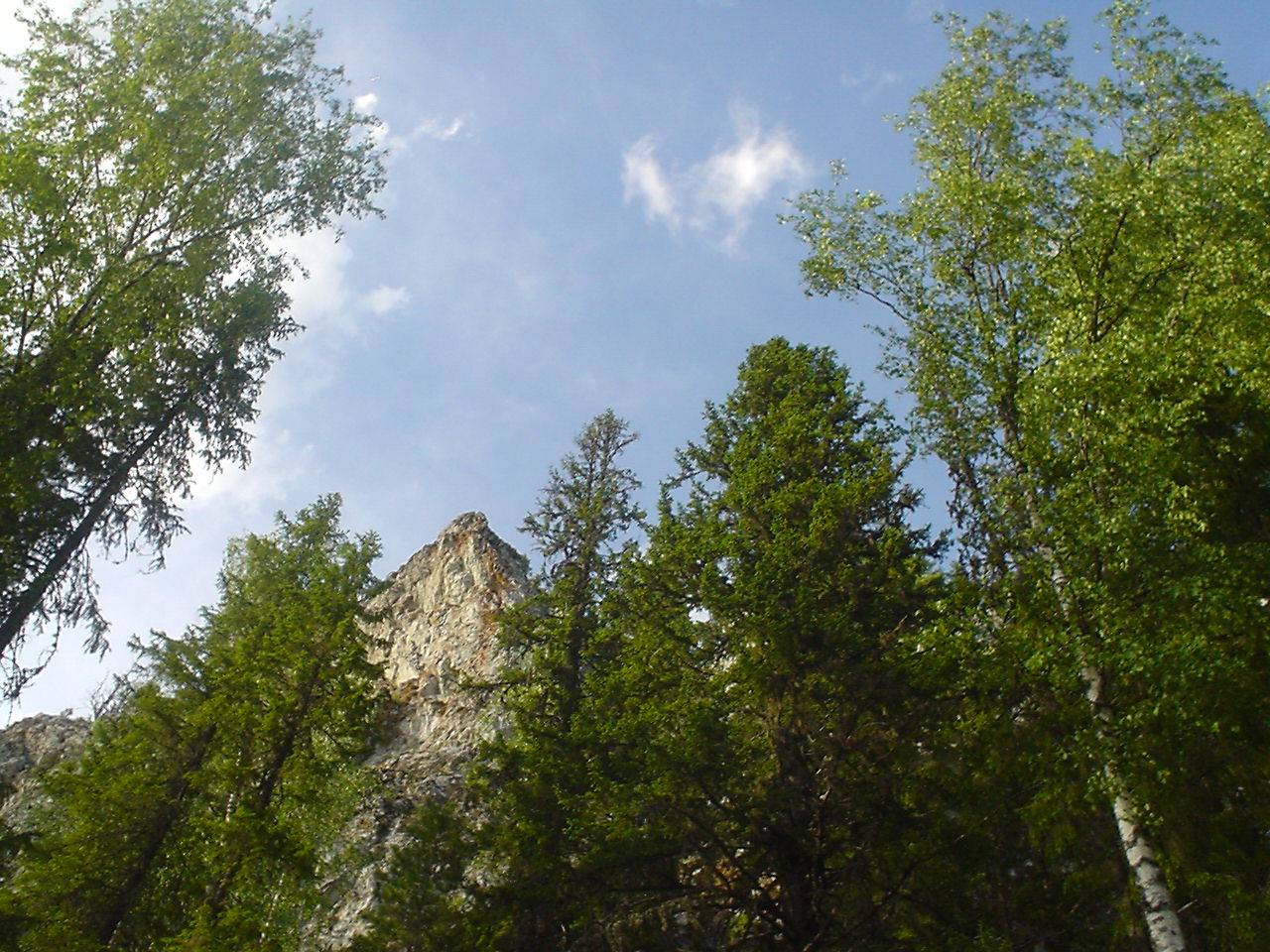 DSC00593.JPG