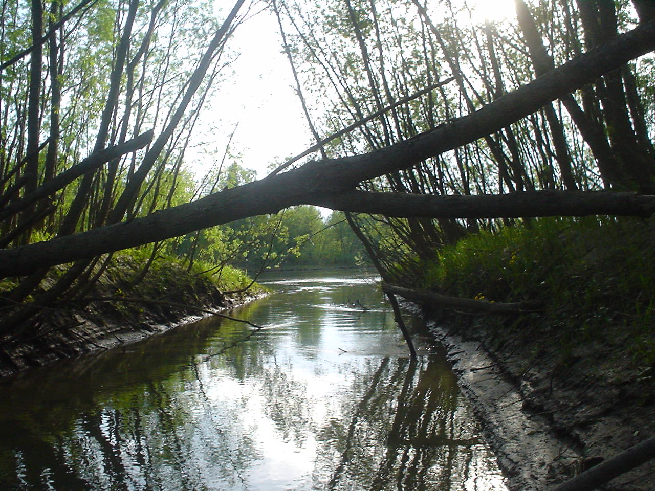 DSC00596.JPG