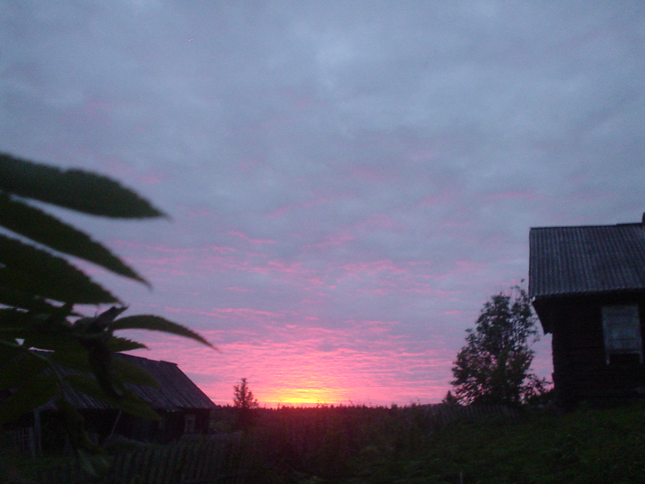 DSC00623.JPG