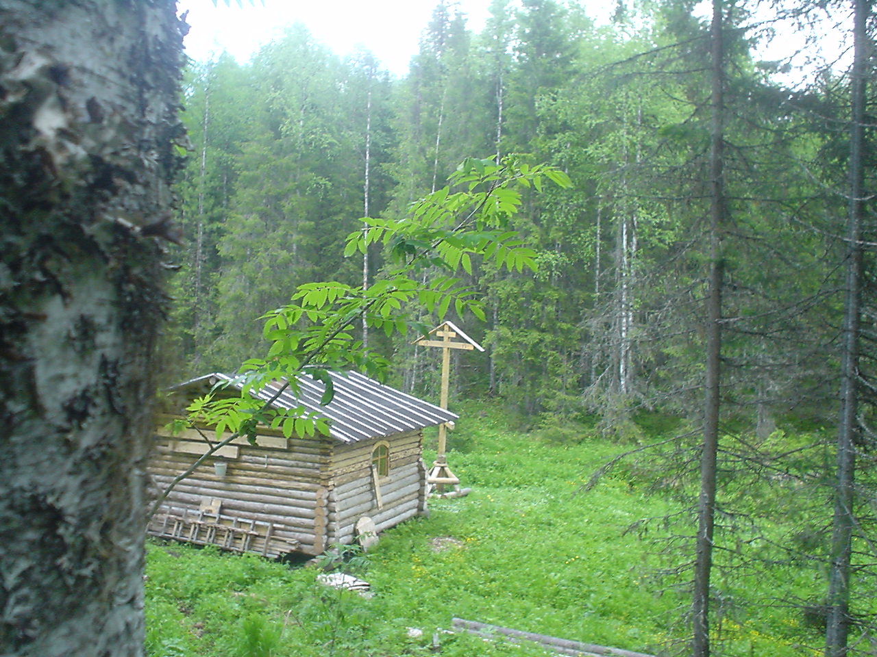DSC00631.JPG