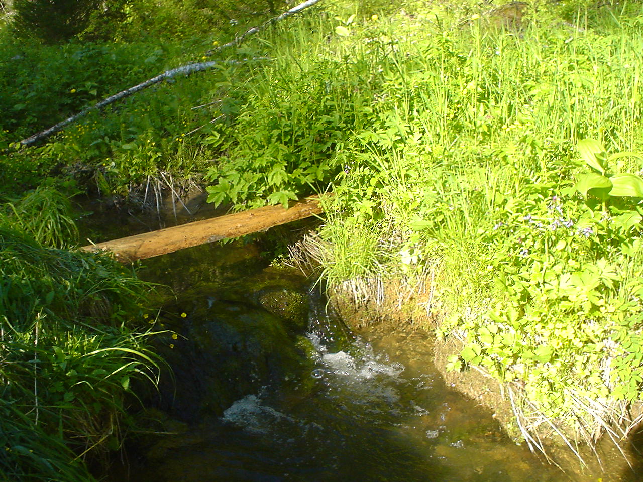 DSC00633.JPG