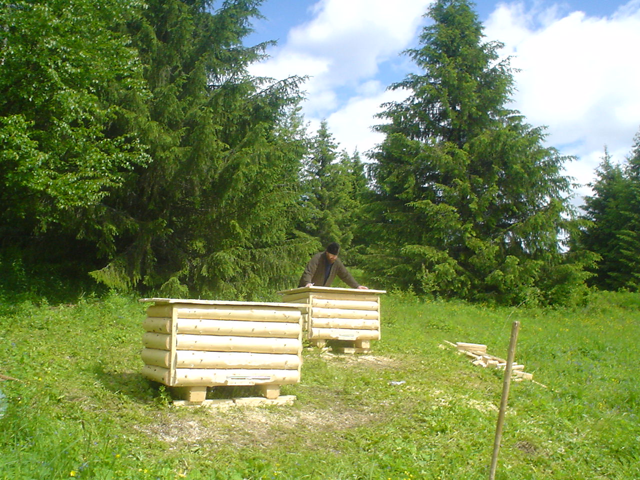 DSC00650.JPG