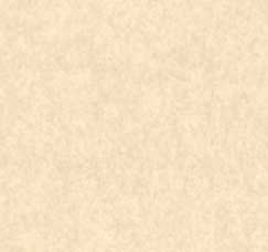 parchment_bg.jpg