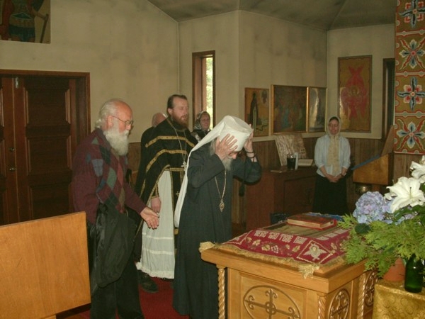 plasch2.jpg