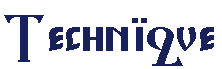Techniqu.gif